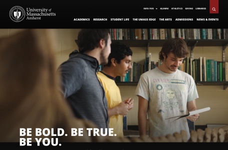 马萨诸塞大学阿默斯特分校